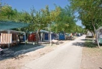 Camping Il Frutteto